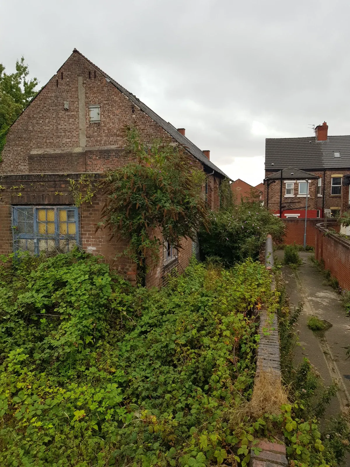 The old building and overgrown site