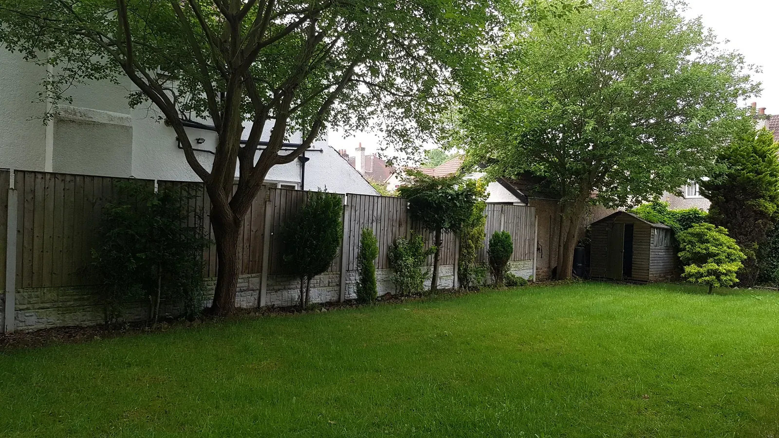 Lawn, trees and boundary planting