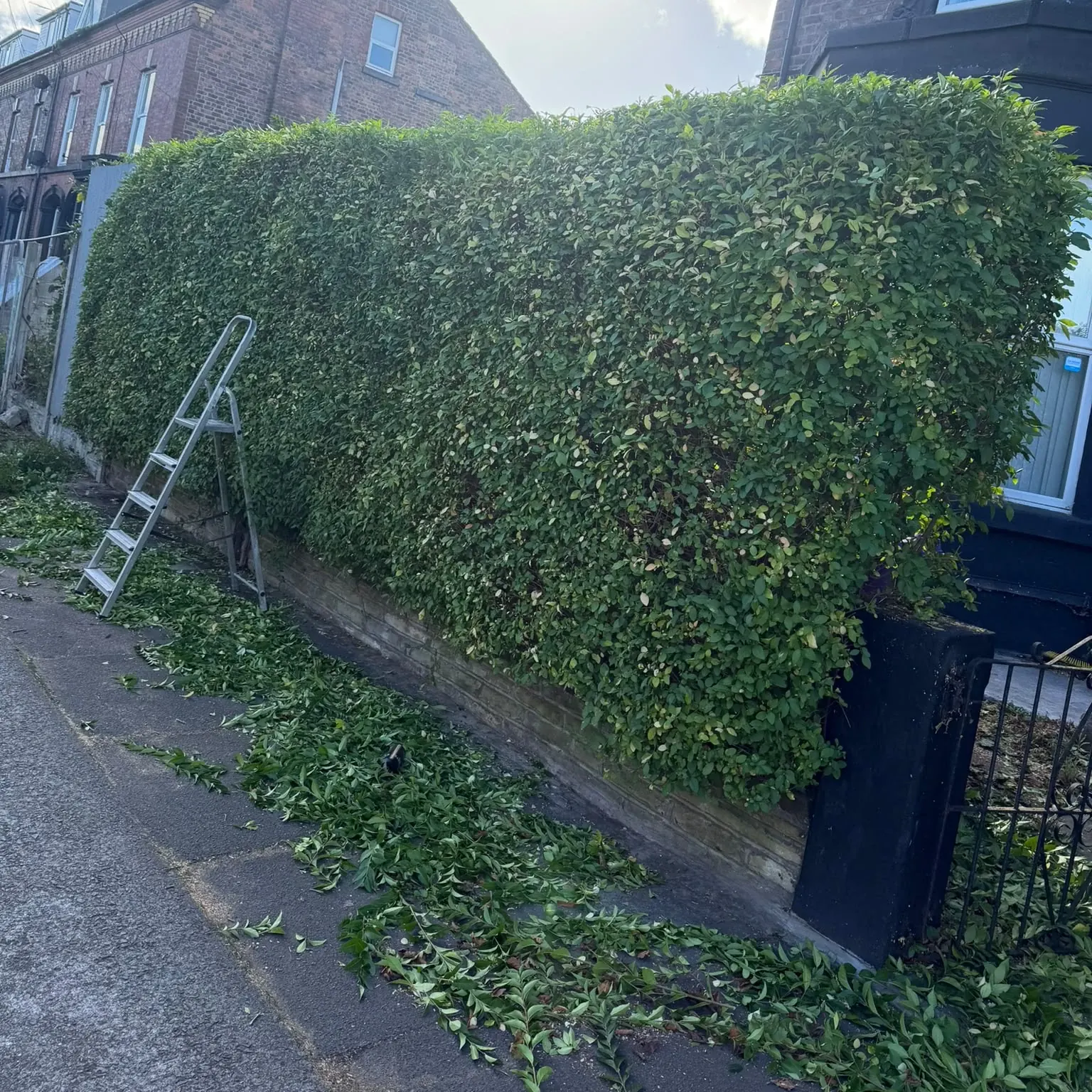 Hedge trimming and grounds upkeep